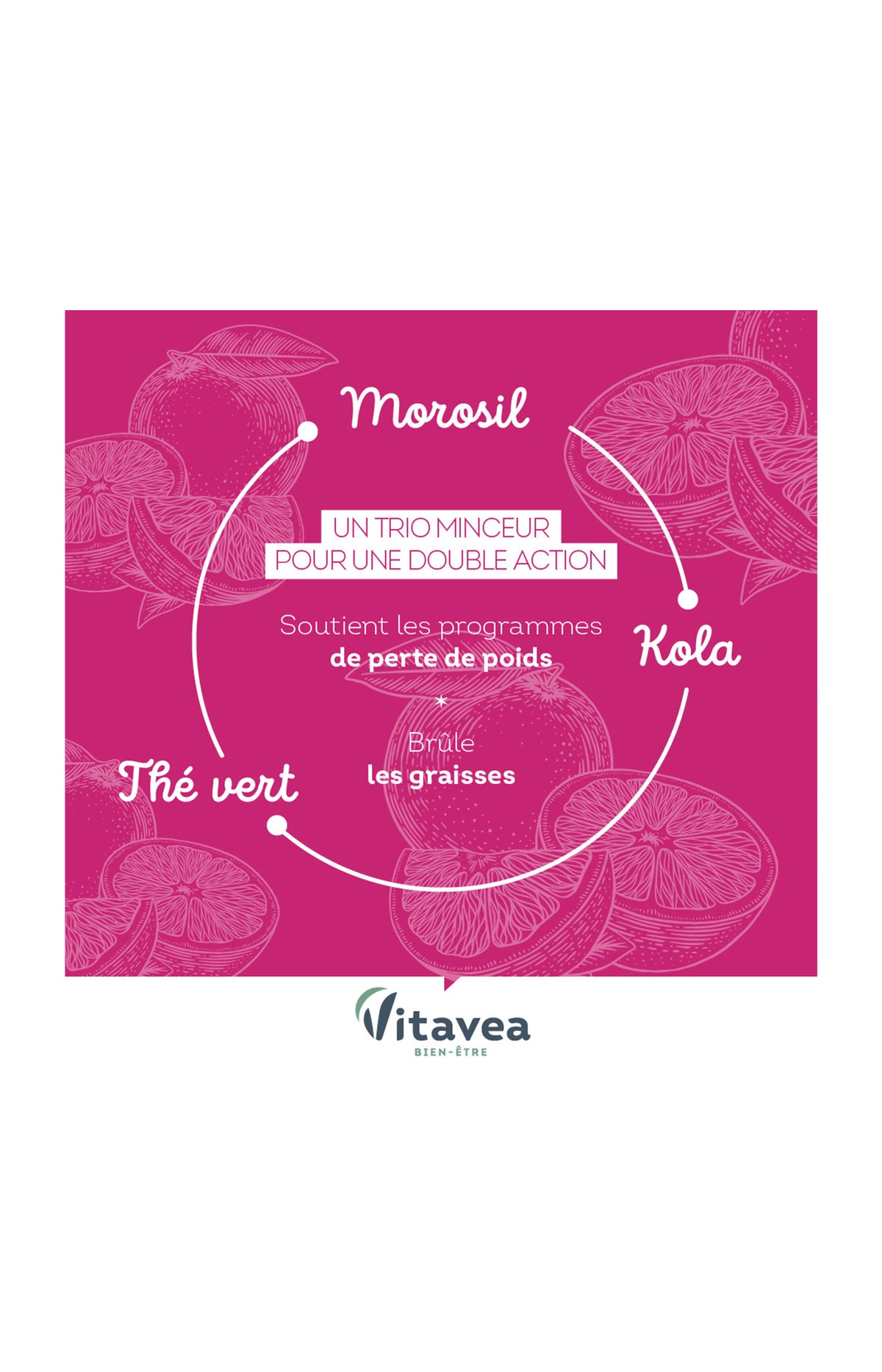 Cure minceur & brûle graisse - Morosil & thé vert - 2 mois