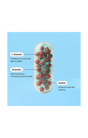 Probio ventre plat - 1 mois
