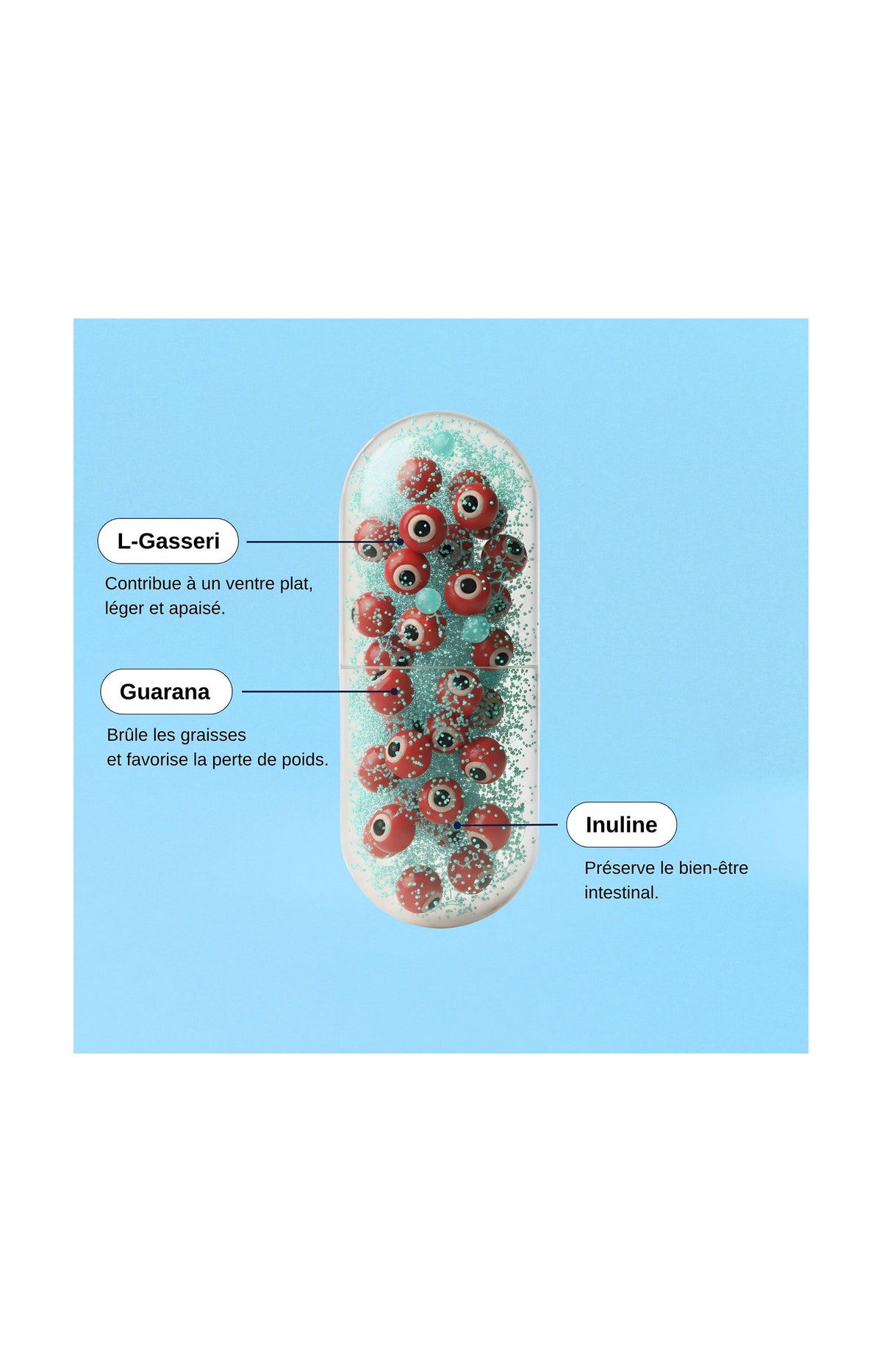 Probio ventre plat - 3 mois