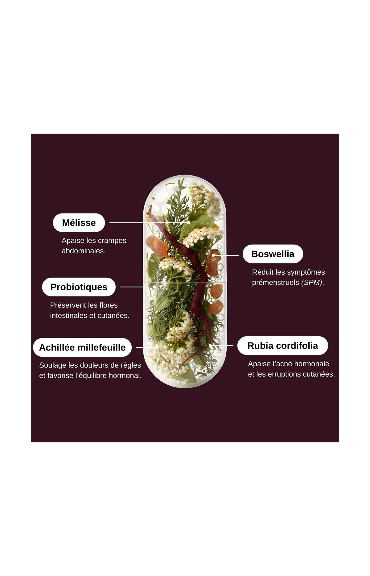 Probio Menstruations - Confort menstruel - 1 mois