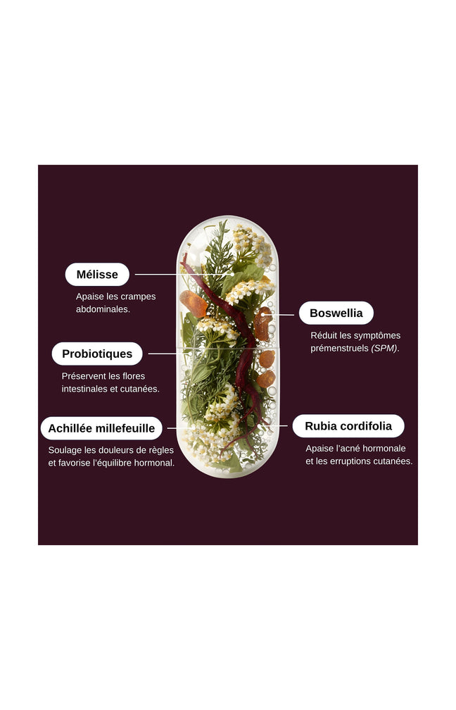 Probio Menstruations - Confort menstruel - 1 mois