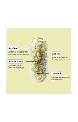 Probio Slim Digest - 1 mois