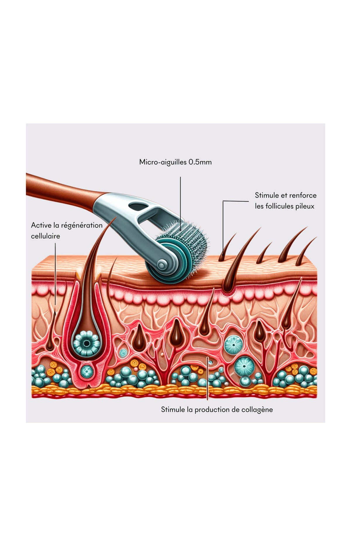 Dermaroller Pousse Cheveux Tricho-Boost