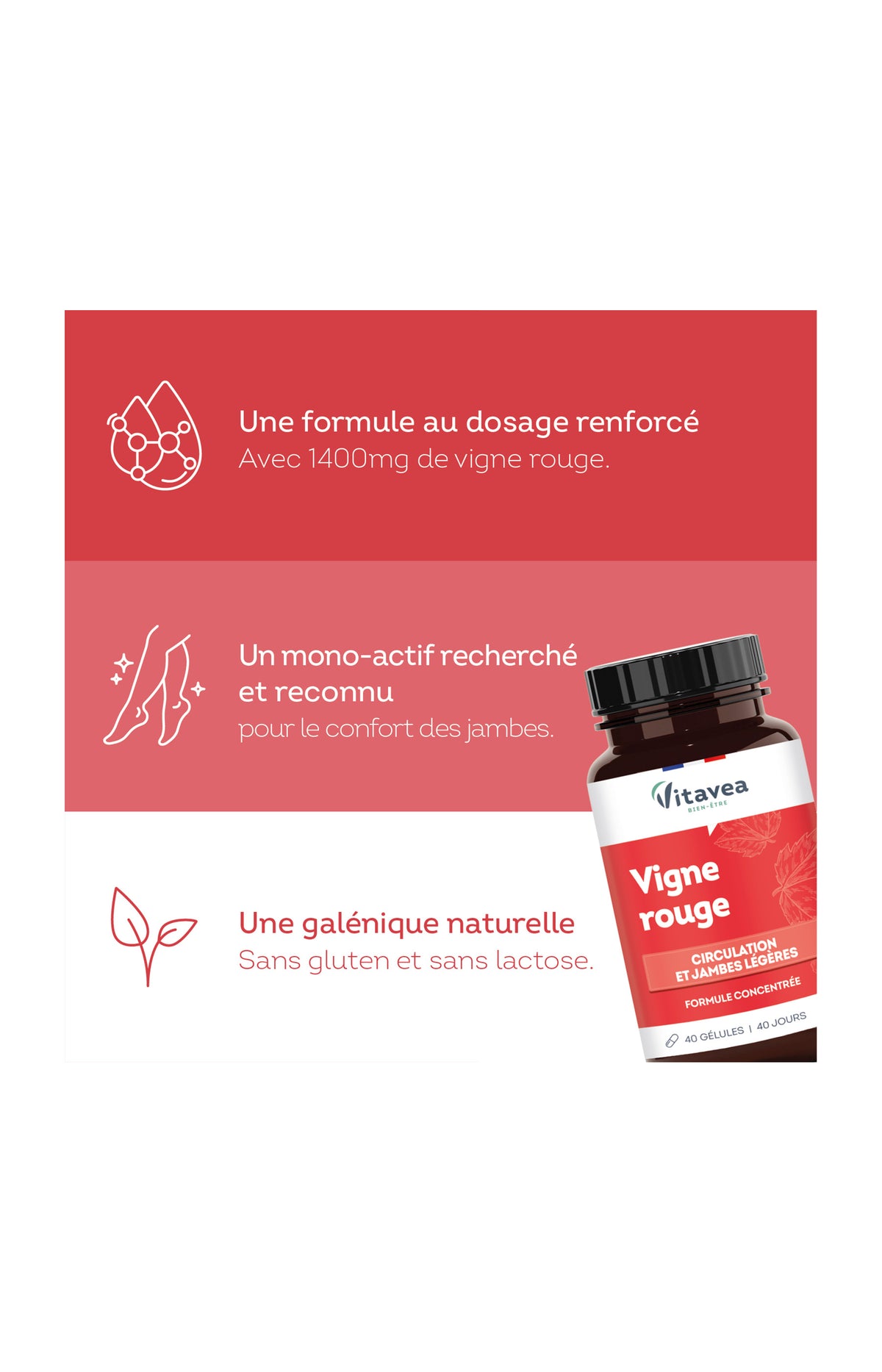 Cure circulation sanguine - Vigne rouge - 4 mois