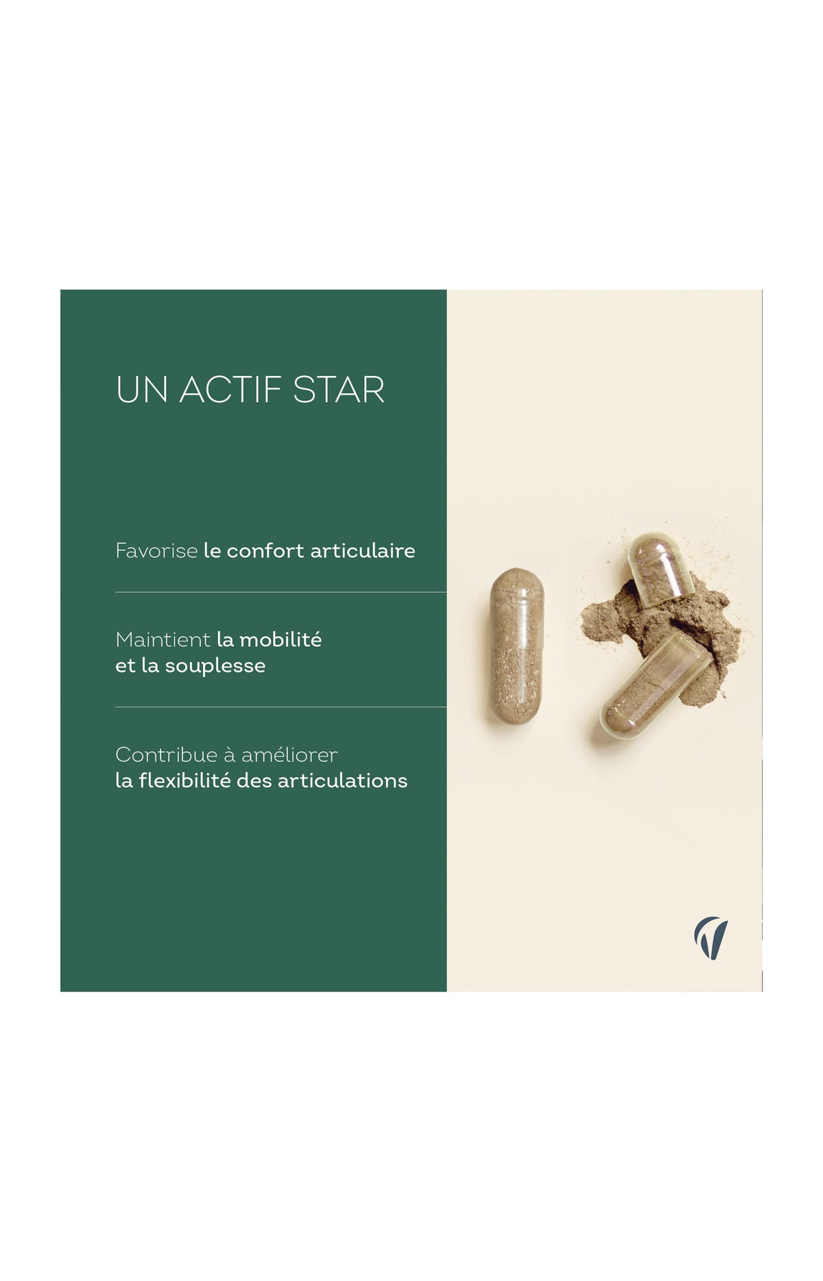 Cure mobilité articulation - Harpagophytum - 135 jours