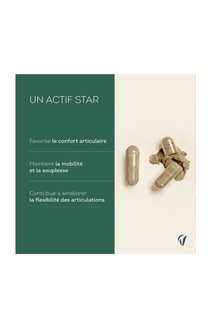 Cure mobilité articulation - Harpagophytum - 135 jours