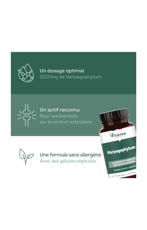 Cure mobilité articulation - Harpagophytum - 135 jours