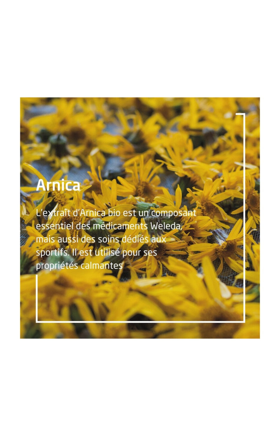Bain récupération sportive - Arnica - 200 ml