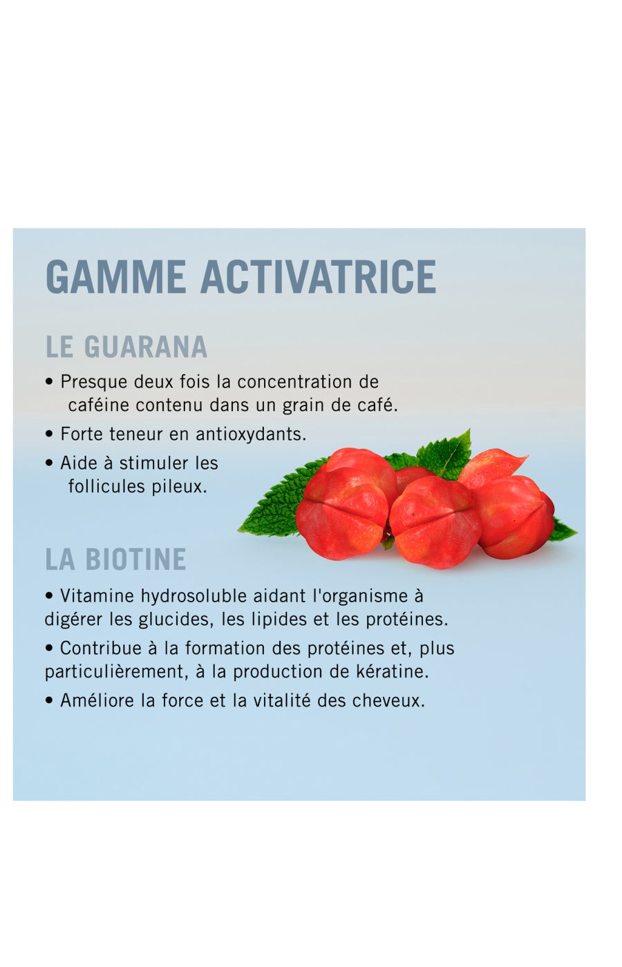 Sérum activateur - Root Activating - Cheveux clairsemés & fragiles - 8 x 7 ml