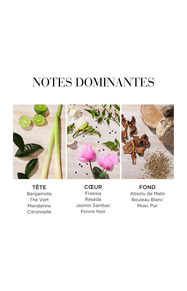 Baume corporel - Green Tea Citron Freesia - 500 ml