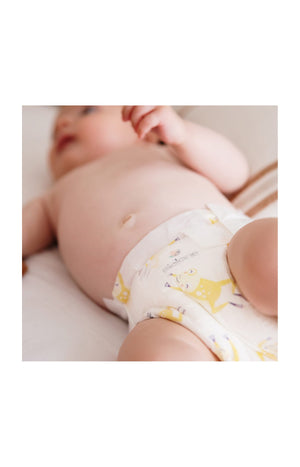 Couches - Bébé - 6 x 27 unités