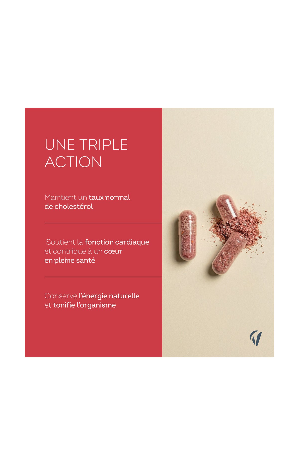 Cure cholest expert - Complexe 4 actifs - 3 mois