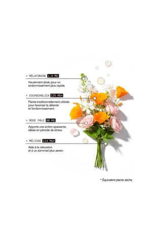 Recharge - Gummies Sommeil - Endormissement rapide - Mûre & Myrtille - 1 mois