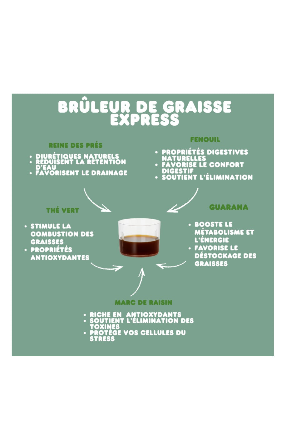 Sirop brûleur de graisse express - Guarana & thé vert - 20 jours