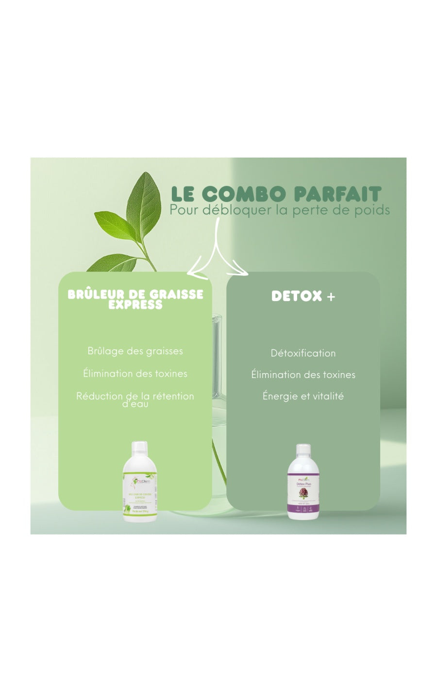 Sirop brûleur de graisse express - Guarana & thé vert - 20 jours