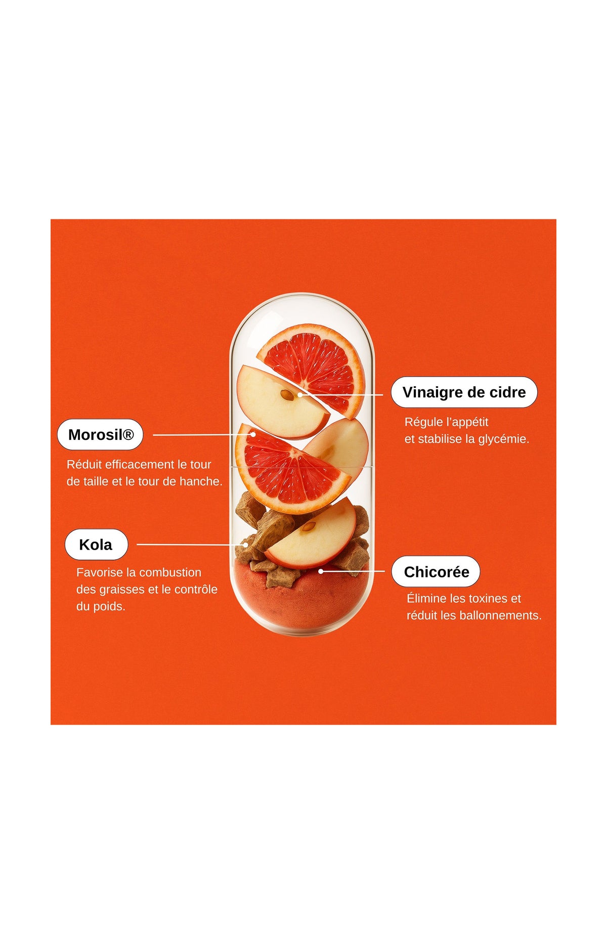 Morosil® Minceur - 3 mois