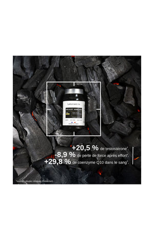 Shilajit Himalaya - Energie - 1 mois
