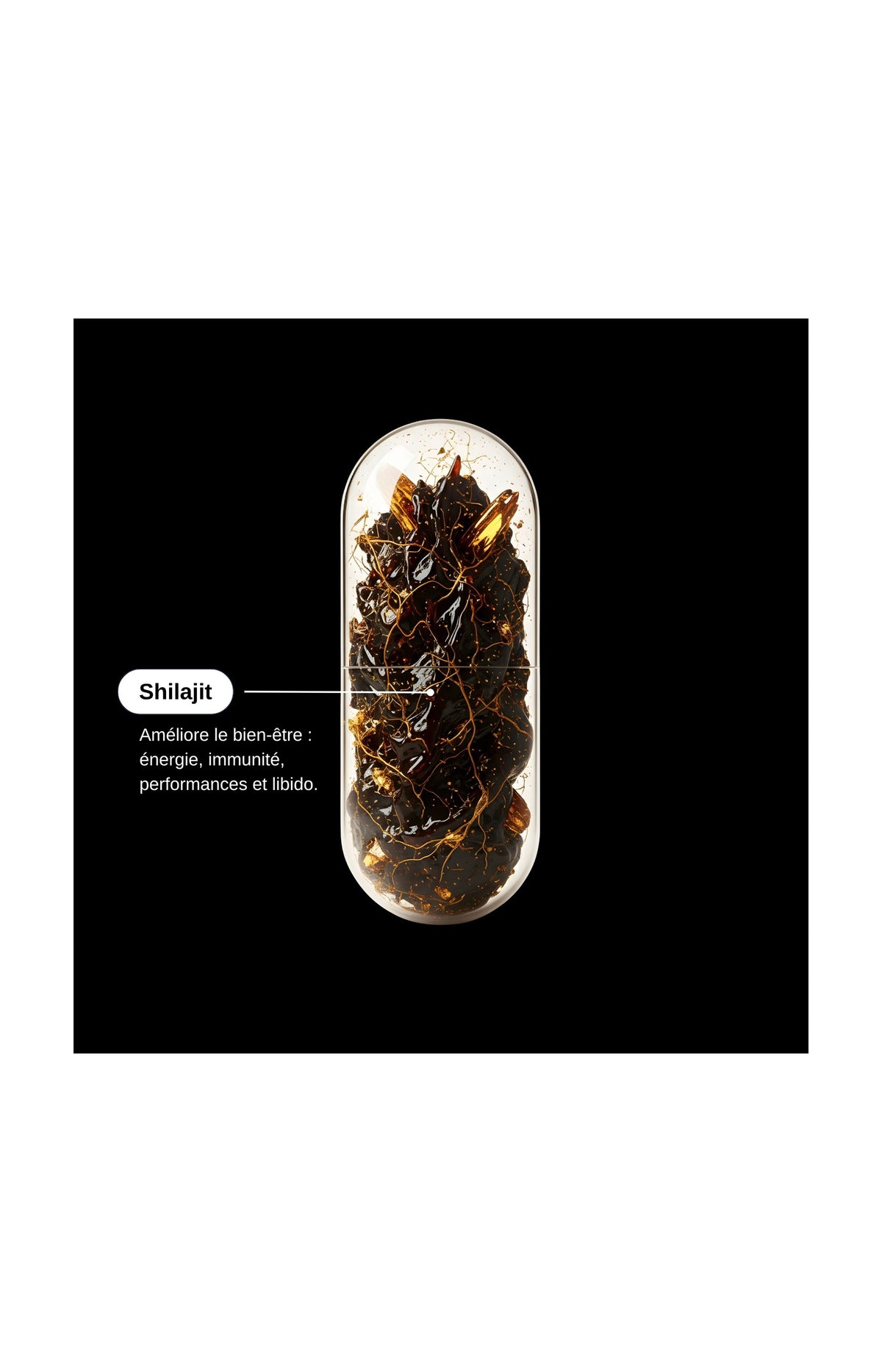 Shilajit Himalaya - Energie - 1 mois