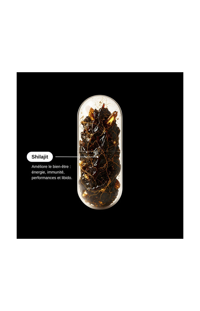 Shilajit Himalaya - Energie - 1 mois