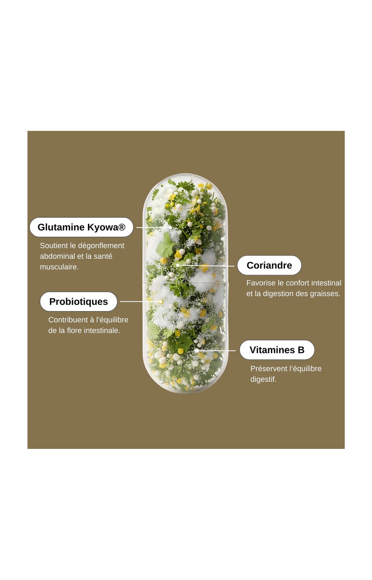 Cure digestion - Probio Glutamine - 1 mois