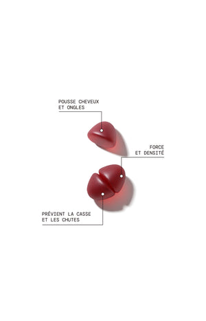 Recharge - Gummies Cheveux et Ongles - Pousse et renforcement - 1 mois