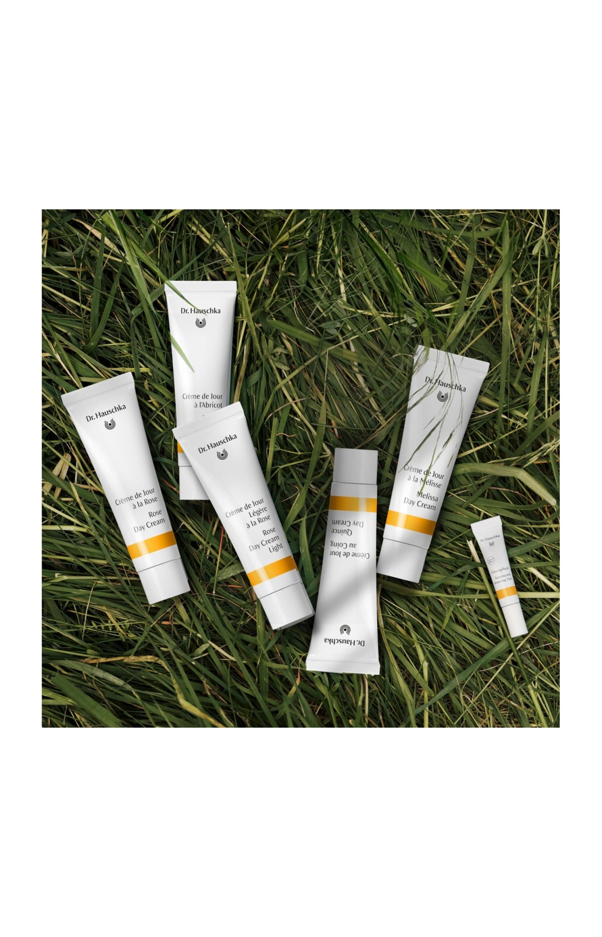 Crème de jour à la mélisse & émulsion teintée