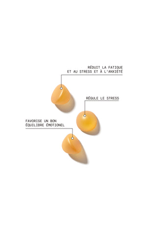 Cure gummies stress - Pomme verte - Sans sucres - 3 mois
