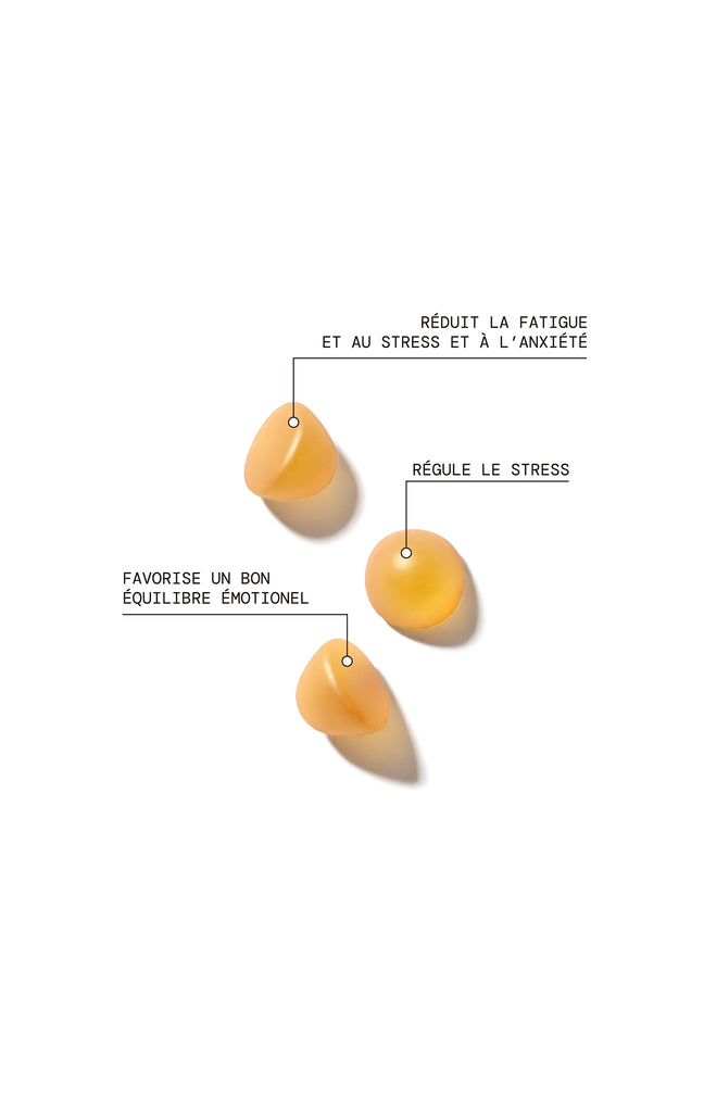 Cure gummies stress - Pomme verte - Sans sucres - 3 mois