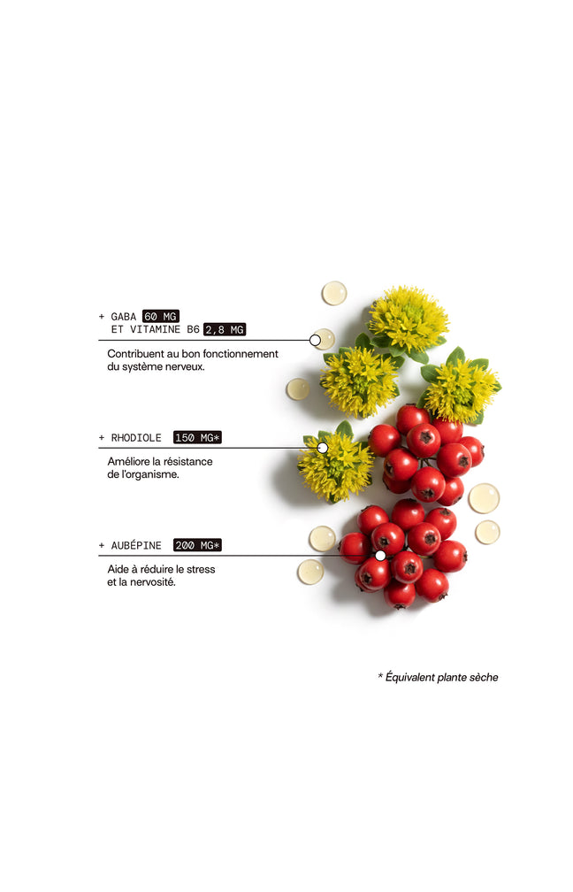 Cure gummies stress - Pomme verte - Sans sucres - 3 mois