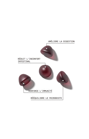 Cure gummies inconforts digestifs - Probiotiques - Sans sucres - Mûre - 2 mois