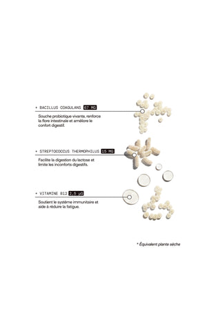 Cure gummies inconforts digestifs - Probiotiques - Sans sucres - Mûre - 2 mois
