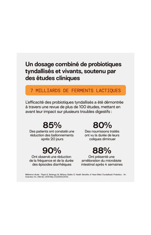 Cure gummies inconforts digestifs - Probiotiques - Sans sucres - Mûre - 2 mois