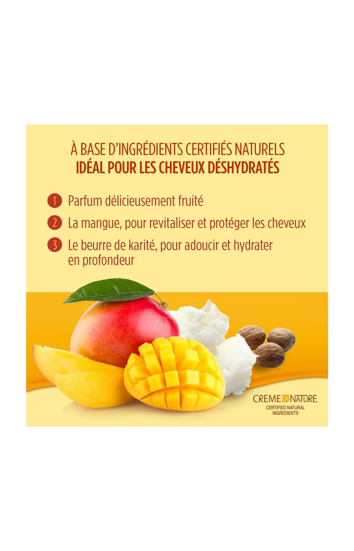 Après-shampoing ultra nourrissant - Mangue & Karité - Cheveux déshydratés - 350 ml