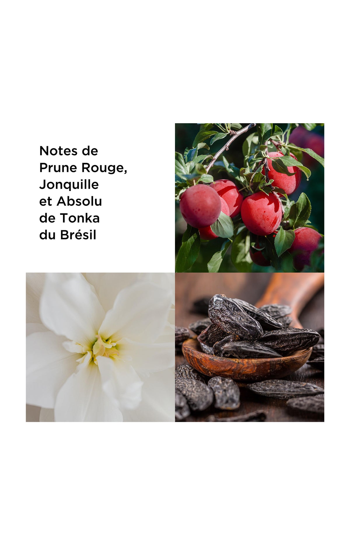 Untold Absolu Eau de parfum - Fruité