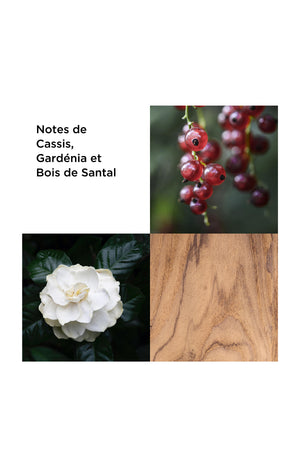 Untold Eau de parfum - Fruité