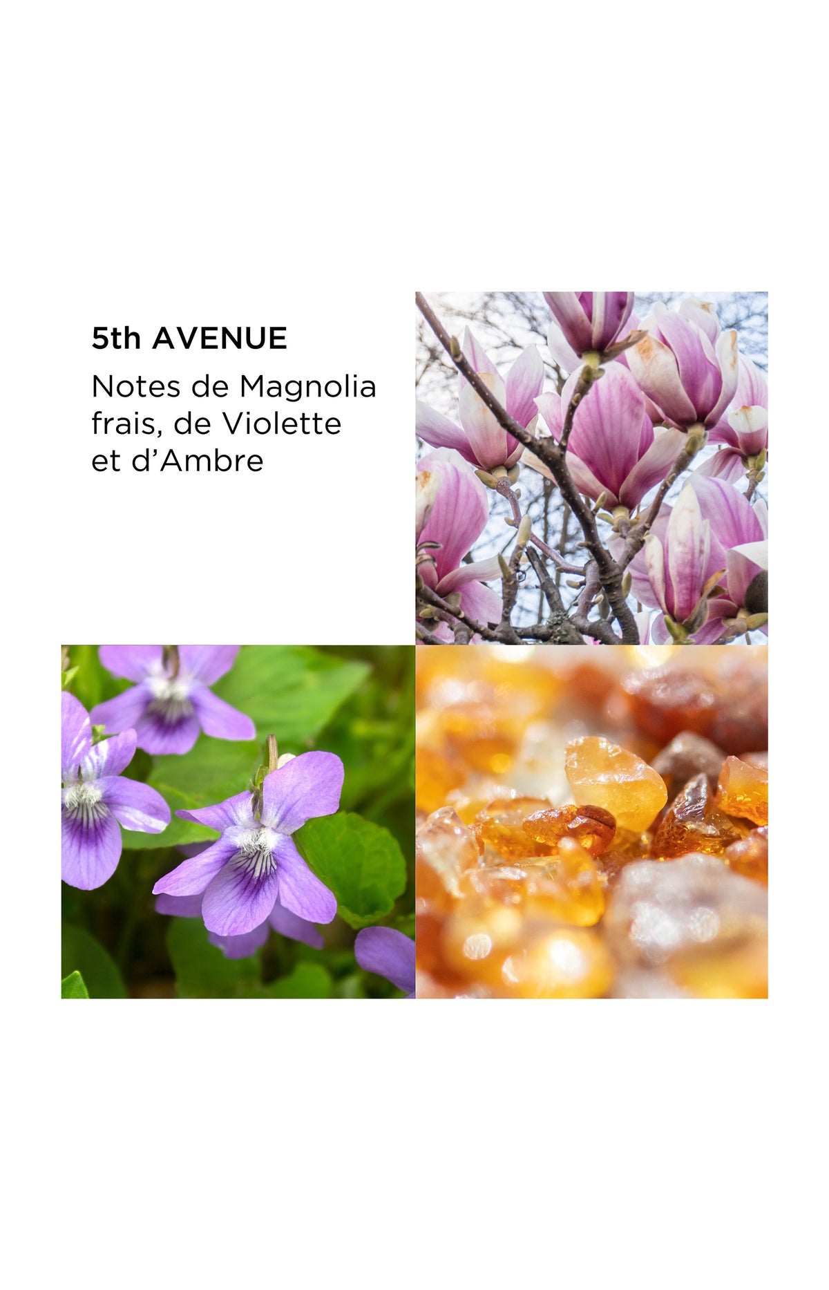 Coffret parfumée - 5th Avenue - 2 produits
