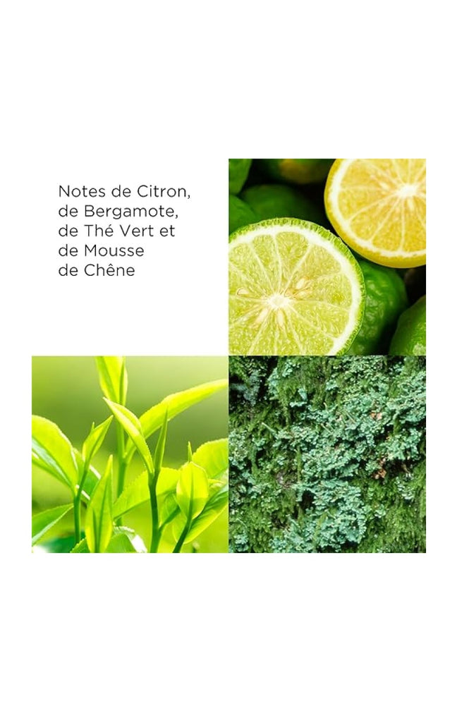 Gel douche énergisant - Green Tea - 200 ml