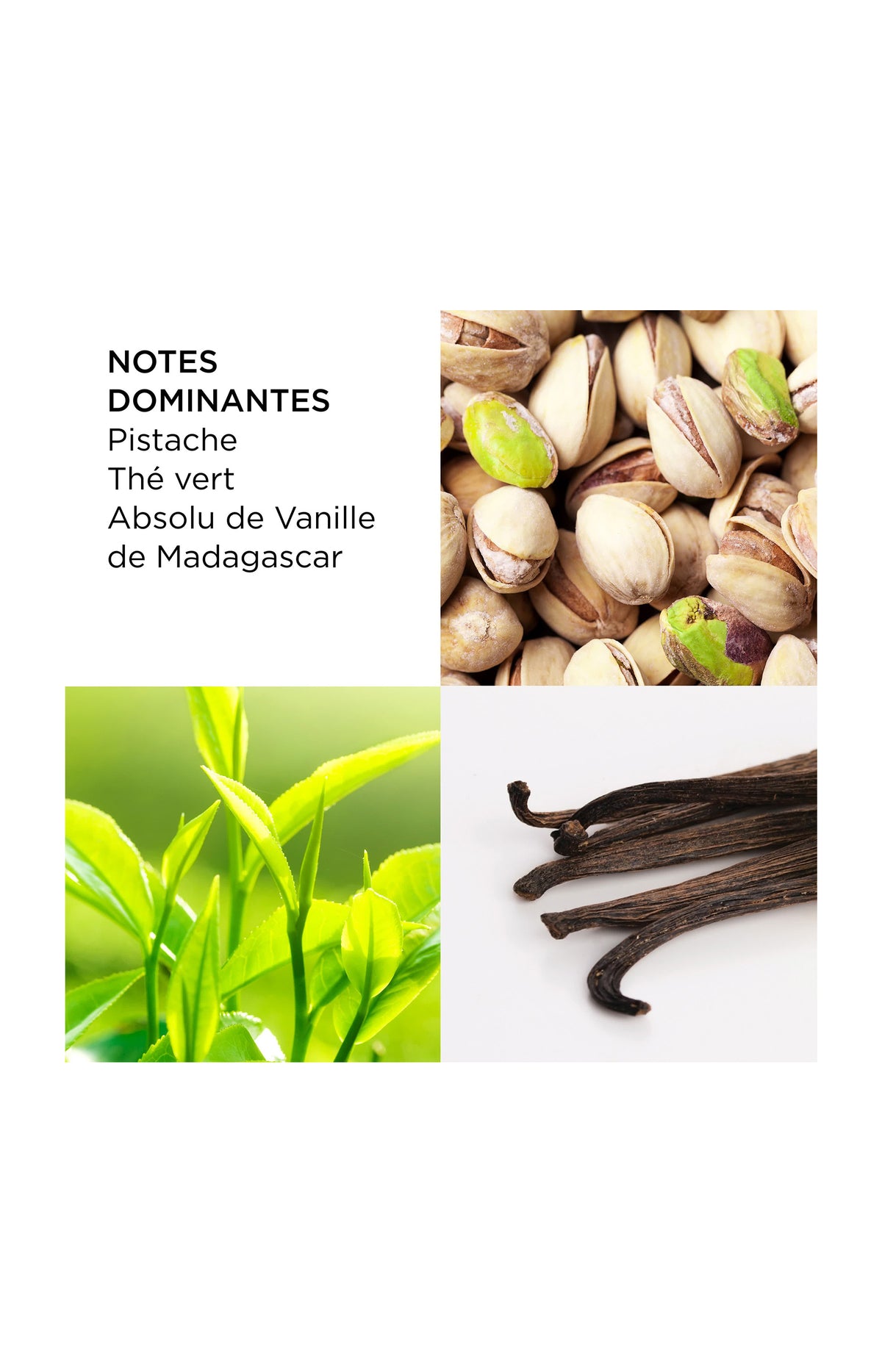 Green Tea Pistachio Eau de toilette - Gourmand