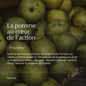 Pomme au cœur de l'action sur les cheveux