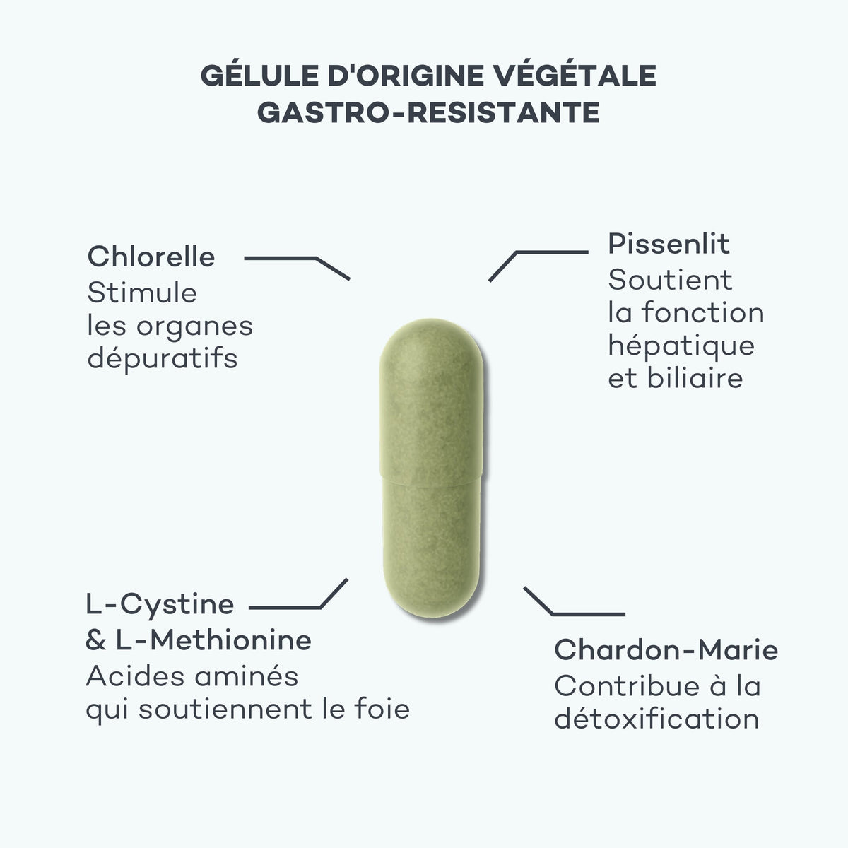 Détox Foie