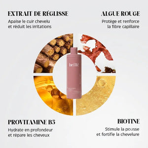 Shampoing Régénérant Cuir Chevelu Sensible - Sans Sulfate