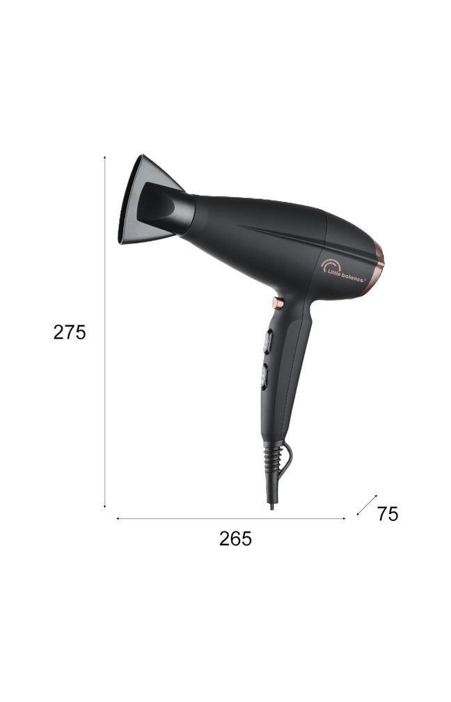 Sèche-cheveux - Ionic Hair 2200