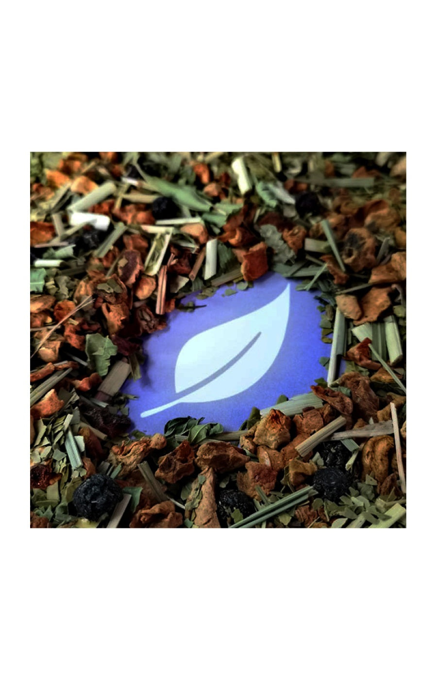 Maté myrtille menthe bio - 50 g