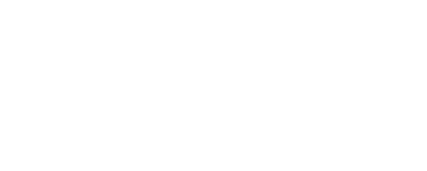 Revlon Professional