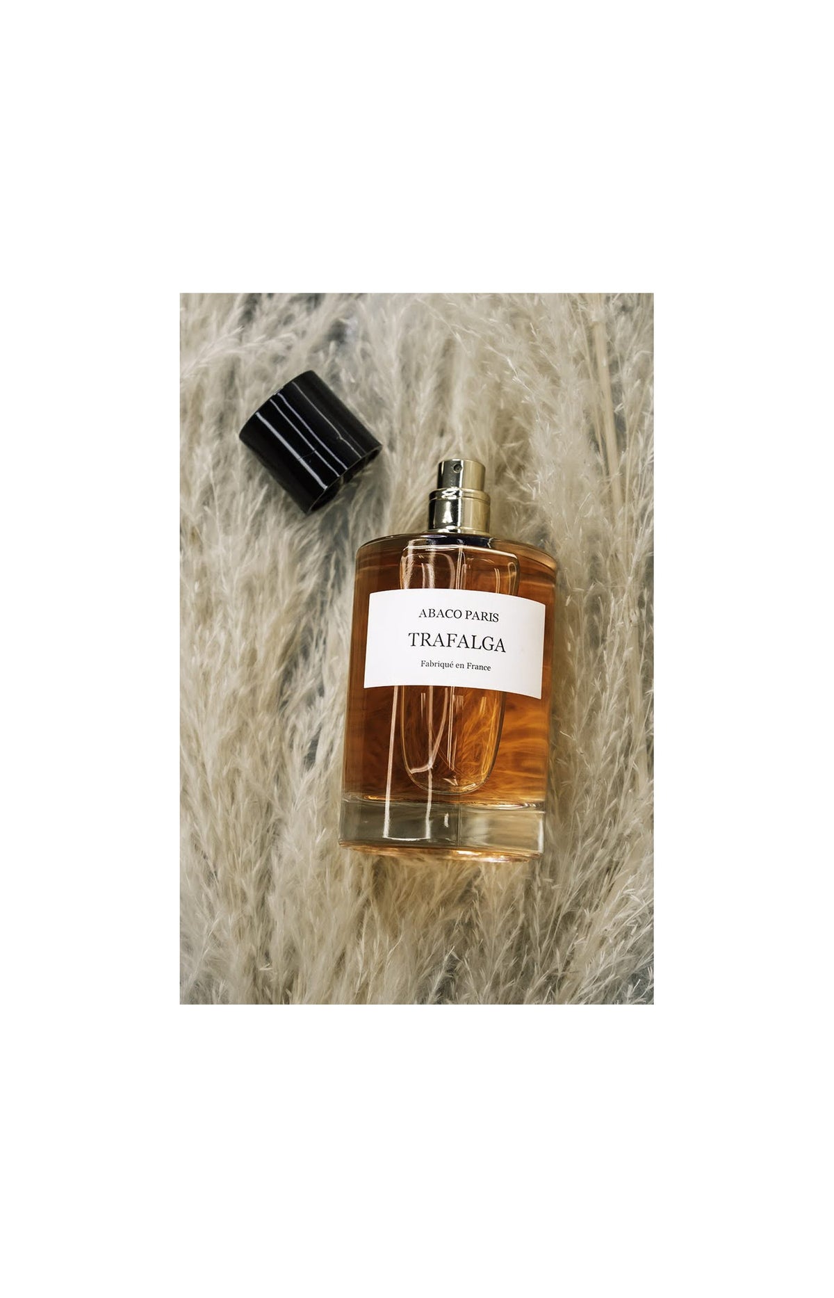 Trafalga Eau de parfum - Fruité musqué - Femme