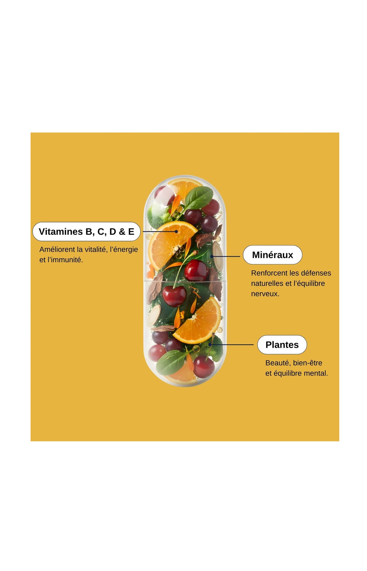 Multivitamines 30 - 1 mois