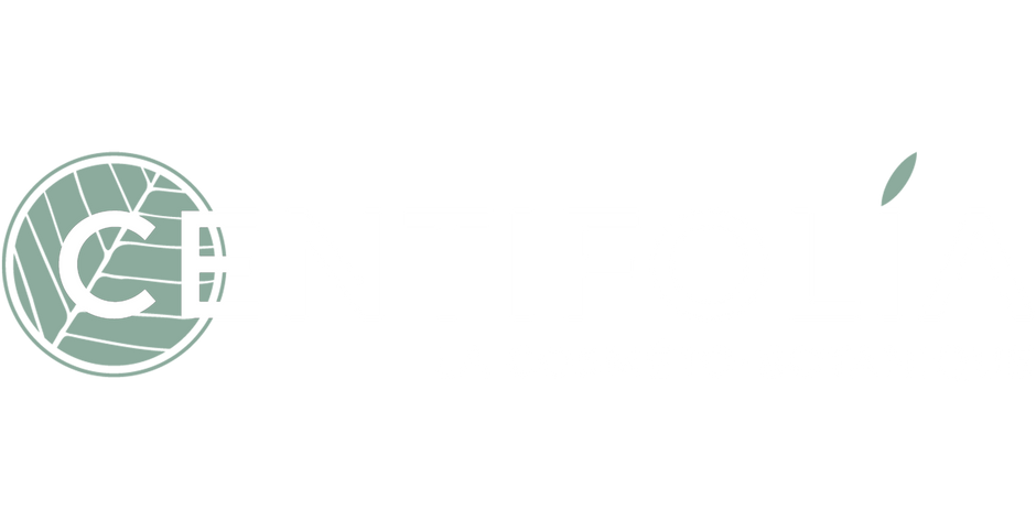 Centifolia