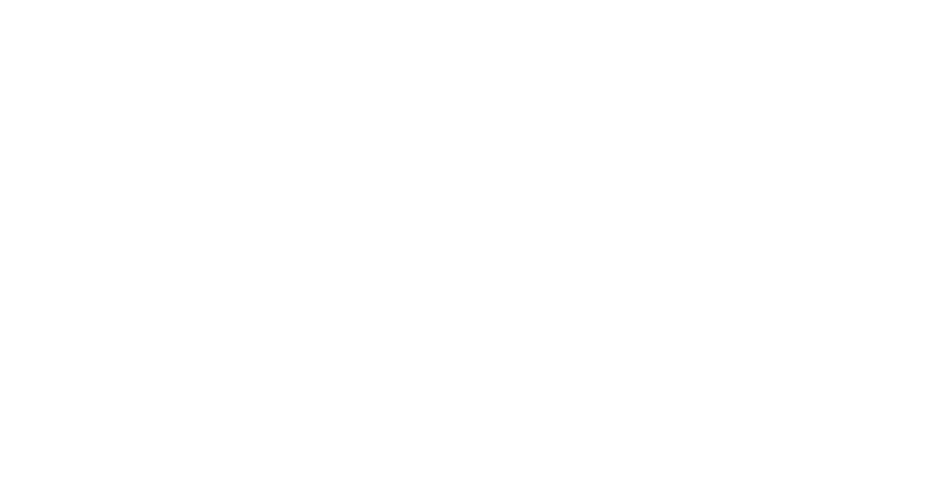 Tree Hut